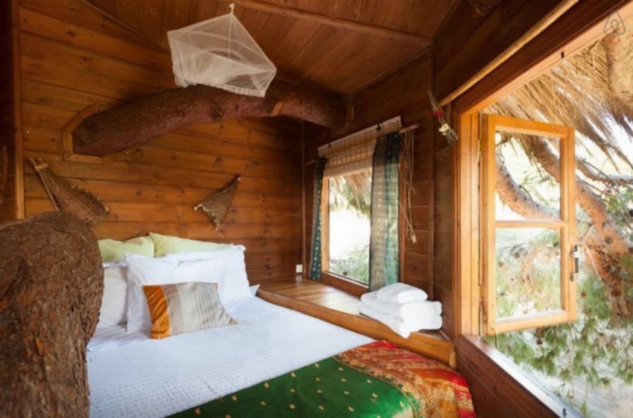 Αμαλιάδα δεντρόσπιτο: Ζευγάρι έφτιαξε το ομορφότερο δεντρόσπιτο της Ελλάδας – Υπέροχες φωτογραφίες