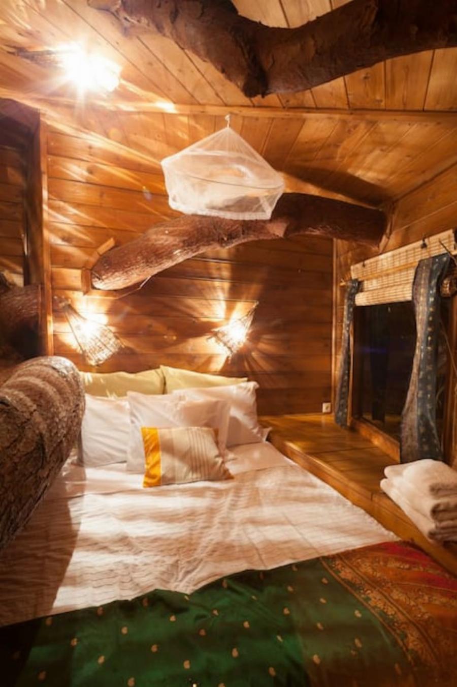 Αμαλιάδα δεντρόσπιτο: Ζευγάρι έφτιαξε το ομορφότερο δεντρόσπιτο της Ελλάδας – Υπέροχες φωτογραφίες