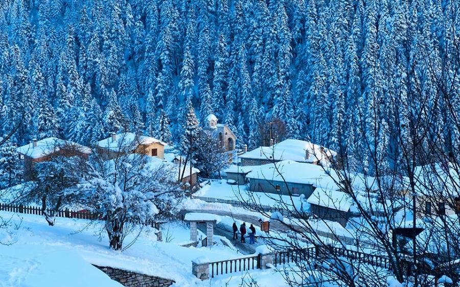 Ελάτη Τρικάλων: Γνωρίστε τη βασίλισσα του χιονιού της Θεσσαλίας