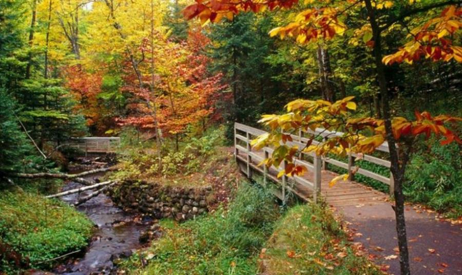 Φθινοπωρινές φωτογραφίες: 10 μαγευτικά, γραφικά τοπία από την Ελλάδα μας σαν πίνακες ζωγραφικής