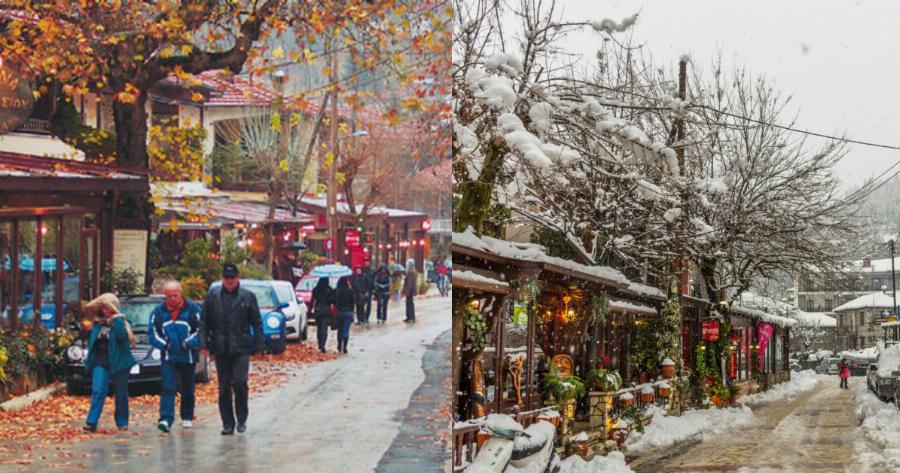 Ελάτη Τρικάλων: Γνωρίστε τη βασίλισσα του χιονιού της Θεσσαλίας