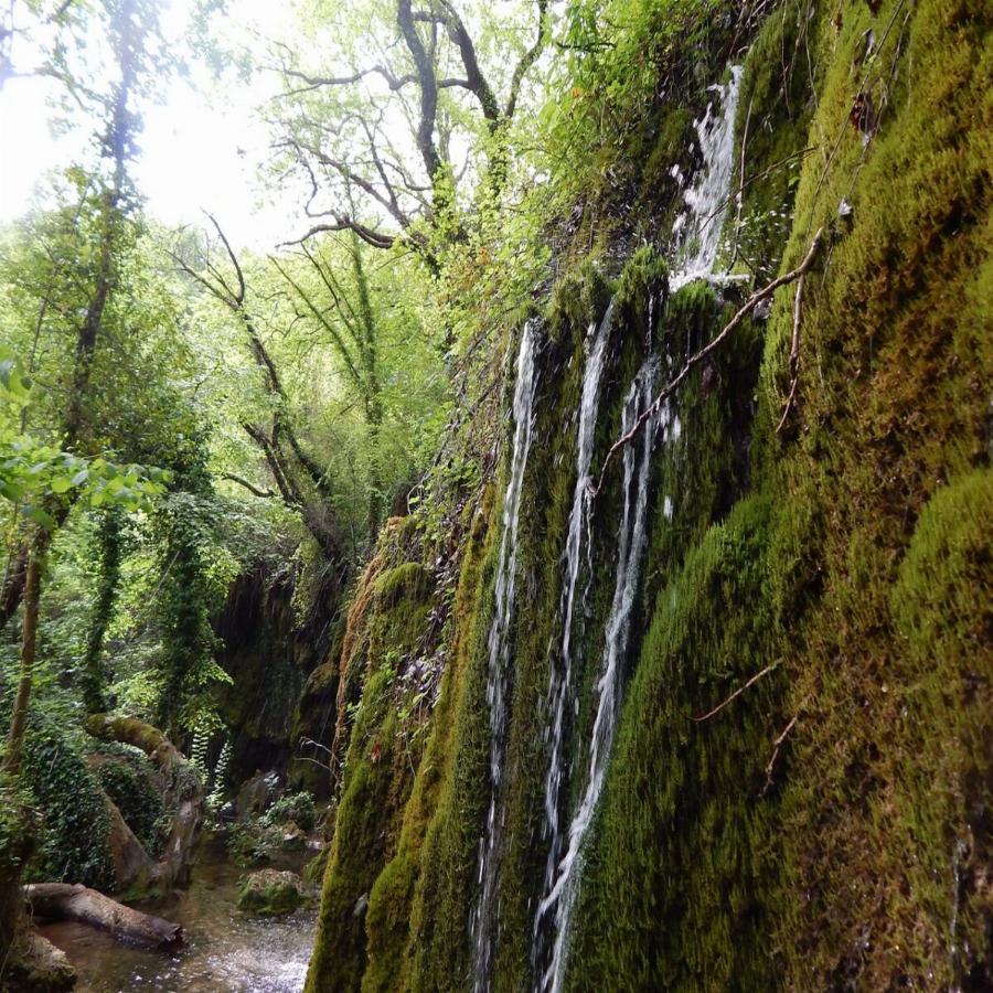 Ελληνική γαλάζια λίμνη: Καταρράκτες με εξωτικά νερά και δέντρα που φτάνου τόσο ψηλά που το φως περνάει δύσκολα