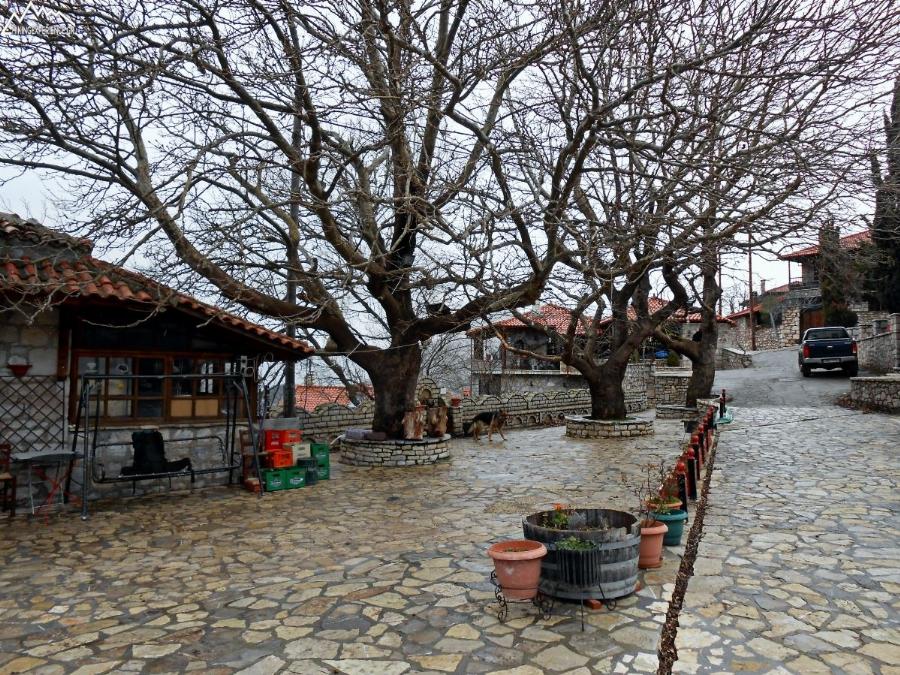 Το κρυμμένο μυστικό του Παρνασσού: Ένα χωριό με εντυπωσιακά δάση με έλατα, πετρόχτιστα σπίτια και τρεχούμενα νερά