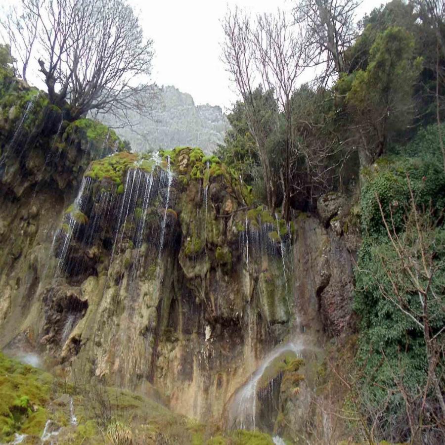 Το κρυμμένο μυστικό του Παρνασσού: Ένα χωριό με εντυπωσιακά δάση με έλατα, πετρόχτιστα σπίτια και τρεχούμενα νερά