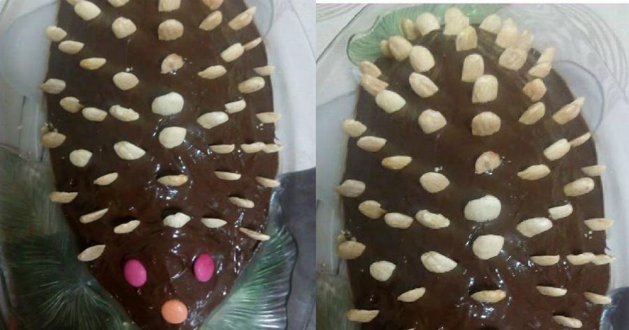 Γλυκό κορμός σκαντζόχοιρος: Πως θα φτιάξεις εύκολα και γρήγορα ένα από τα πιο διάσημα γλυκά