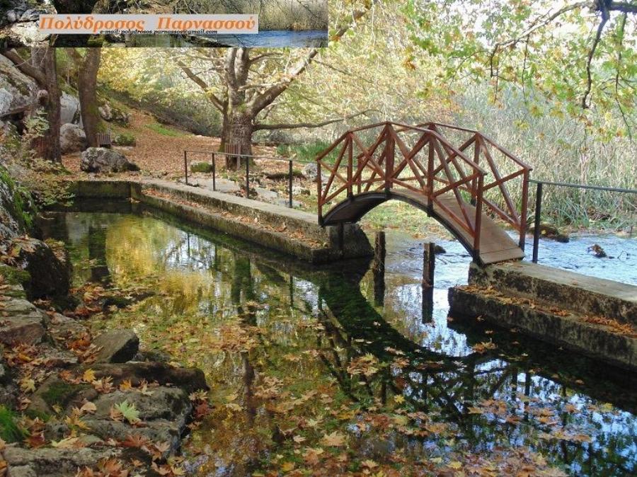 Χωριά του Παρνασσού: Έξι υπέροχα χωριουδάκια για αξέχαστες, κοντινές χειμερινές και φθινοπωρινές εξορμήσεις