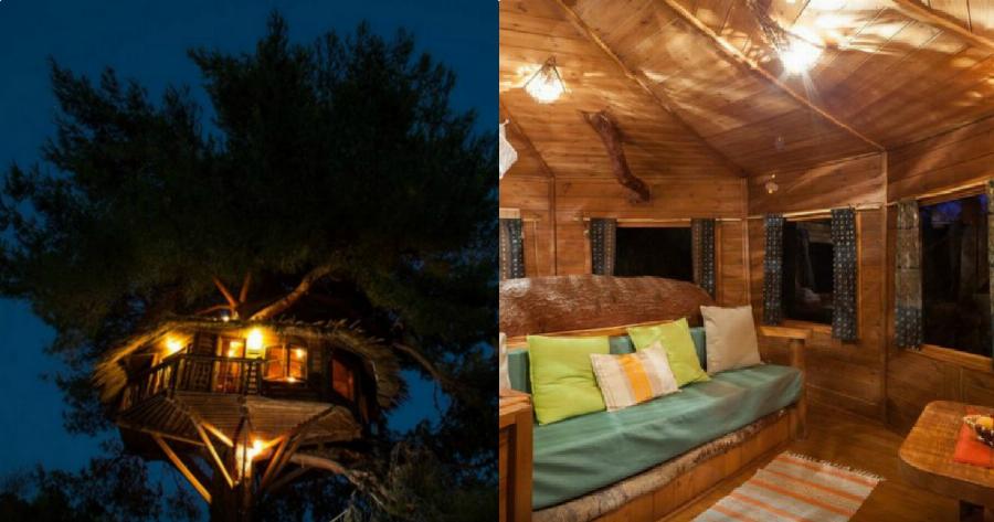 Αμαλιάδα δεντρόσπιτο: Ζευγάρι έφτιαξε το ομορφότερο δεντρόσπιτο της Ελλάδας – Υπέροχες φωτογραφίες