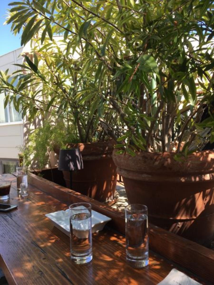 Σπίτι Άγγελου Σικελιανού: Το σπίτι του αγαπημένου ποιητή έγινε καφέ – Που θα το βρείτε