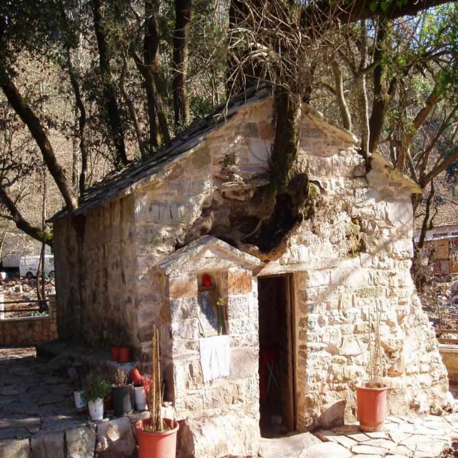 Ελληνικό θαύμα της φύσης: Η εκκλησία της Αρκαδίας με τα 17 δέντρα που σε μαγεύει και μπήκε και στο βιβλίο Γκίνες