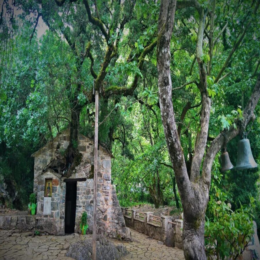 Ελληνικό θαύμα της φύσης: Η εκκλησία της Αρκαδίας με τα 17 δέντρα που σε μαγεύει και μπήκε και στο βιβλίο Γκίνες