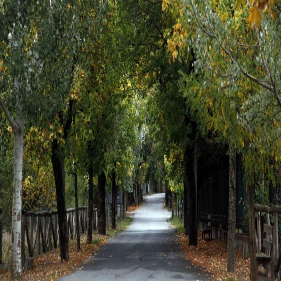 Μήλος του χειμώνα: Βρίσκεται μόλις 2 ώρες από την Αθήνα και είναι ο παράδεισος του Νοεμβρίου