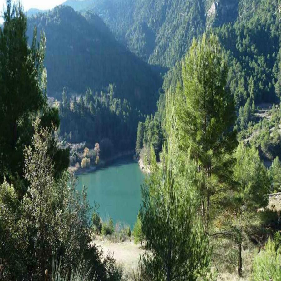 2 ώρες από την Αθήνα, ένα παραδεισένιο χωριουδάκι κρυμμένο μέσα στα έλατα που μπορείς να μέινεις με 30ε τη μέρα το άτομο