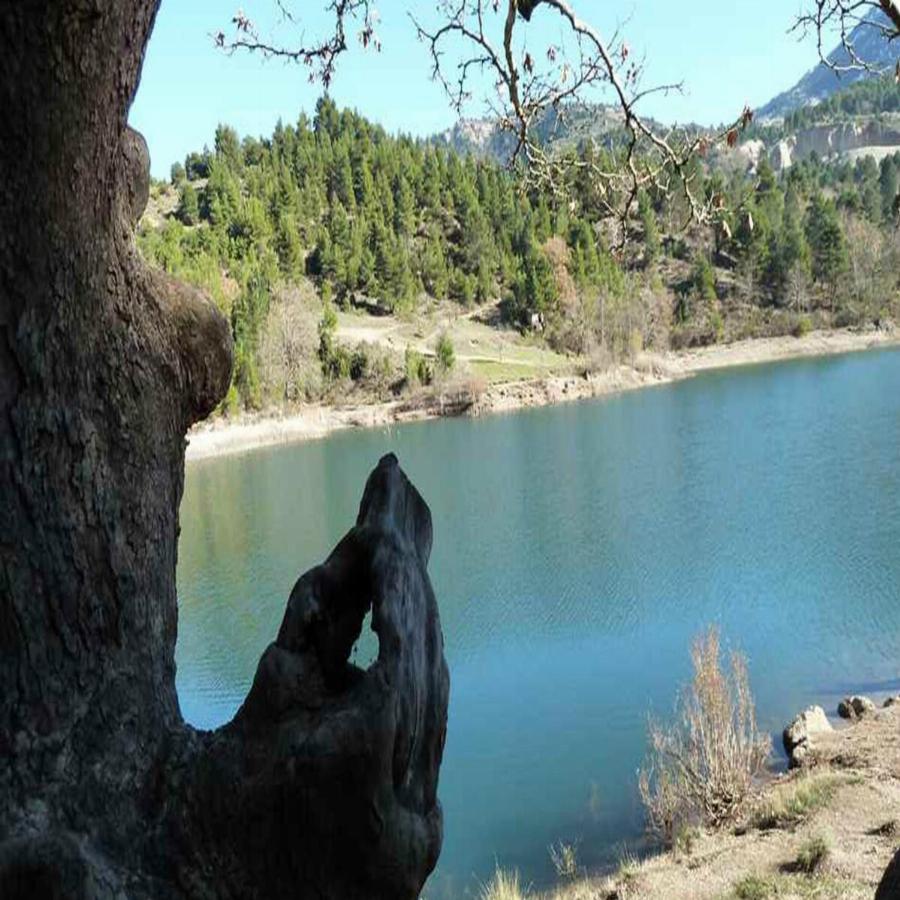 2 ώρες από την Αθήνα, ένα παραδεισένιο χωριουδάκι κρυμμένο μέσα στα έλατα που μπορείς να μέινεις με 30ε τη μέρα το άτομο