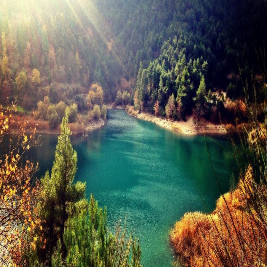 2 ώρες από την Αθήνα, ένα παραδεισένιο χωριουδάκι κρυμμένο μέσα στα έλατα που μπορείς να μέινεις με 30ε τη μέρα το άτομο