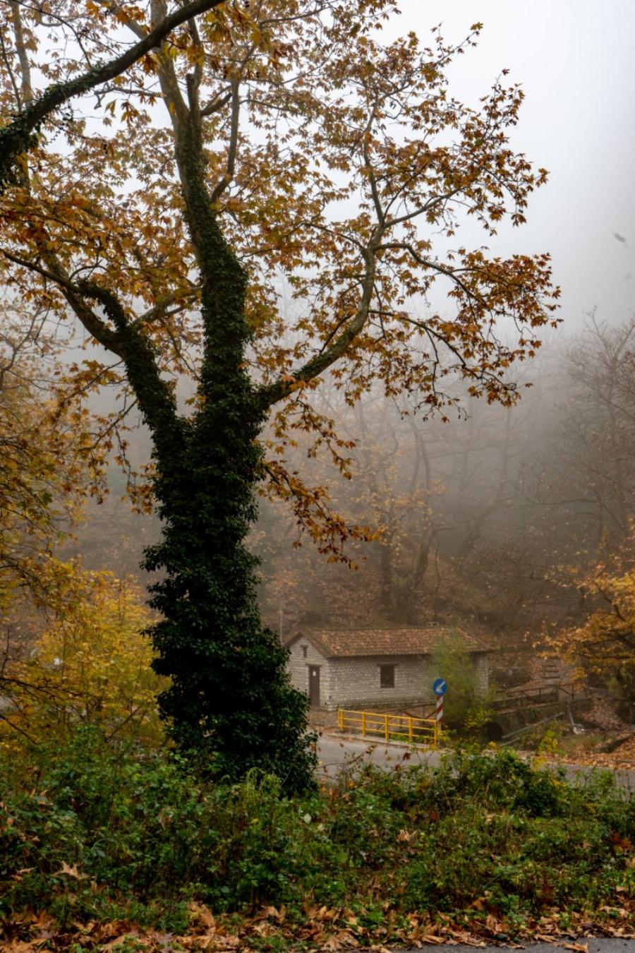 Φθινοπωρινές φωτογραφίες: 10 μαγευτικά, γραφικά τοπία από την Ελλάδα μας σαν πίνακες ζωγραφικής