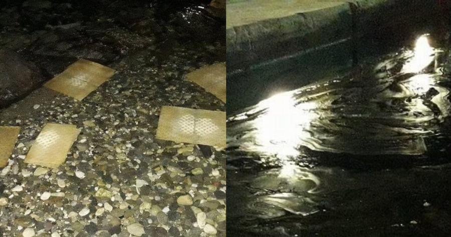 Πάρος πετρελαιοκηλίδα: Οικολογική ζημιά και νεκρά ψάρια στον κόλπο της Παροικίας