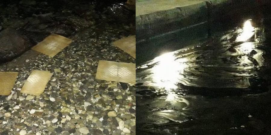 Πάρος πετρελαιοκηλίδα: Οικολογική ζημιά και νεκρά ψάρια στον κόλπο της Παροικίας