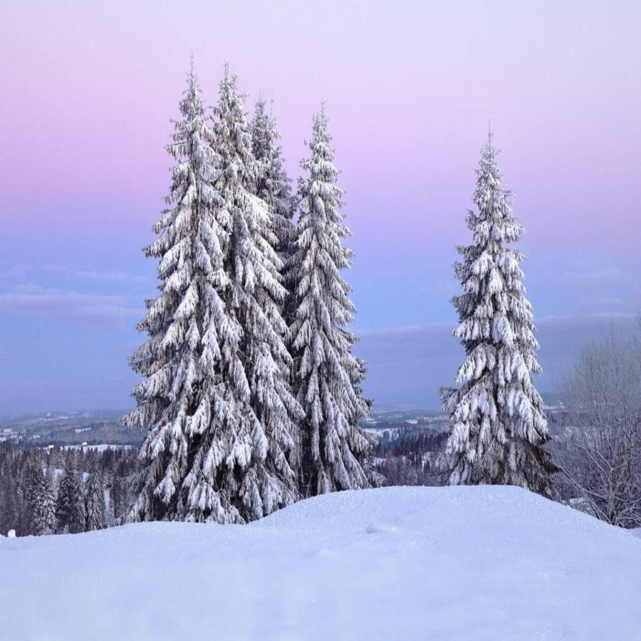 Τελικά μερομήνια 20-21: Τότε έρχεται οριστικά βαρυχειμωνιά και χιόνια – Αναλυτική πρόγνωση καιρού ανά μήνα