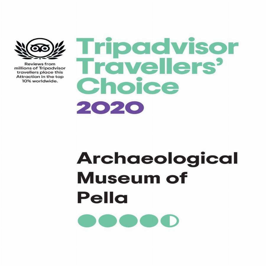 Αρχαιολογικό Μουσείο Πέλλας: Κέρδισε το βραβείο «Traveller’s Choice Award» 2020 από το Tripadvisor
