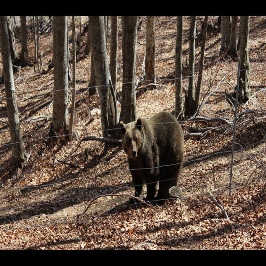 Το ομορφότερο χωριό της Ευρώπης βρίσκεται στη Φλώρινα, είναι ένα παραμύθι από χιόνι και μπορείς να το επισκεφτείς φέτος με 40ε το άτομο τη μέρα