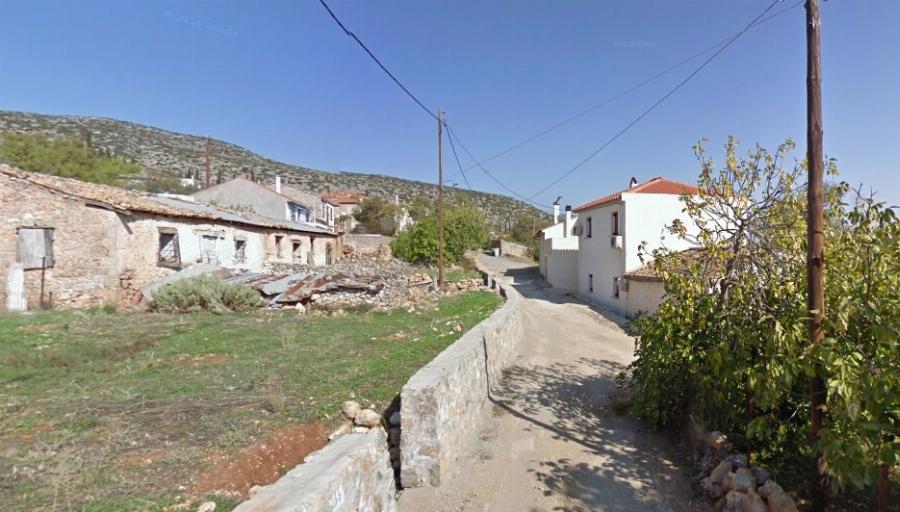 Κολοπετινίτσα: Ποιό είναι τελικά το διάσημο χωριό που εκτρέφονταν δυνατά κοκκόρια και γινόνταν κοκορομαχίες