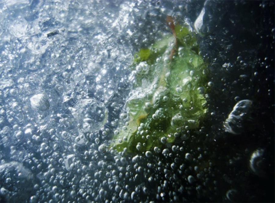 Φωτογράφος Καιρικών Φαινομένων: Ανακοινώθηκαν τα βραβεία για το 2020