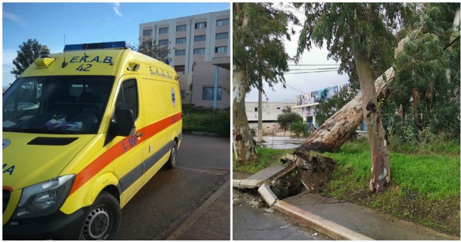 Τρίκαλα: 75χρονος άνδρας καταπλακώθηκε από δέντρο και σκοτώθηκε