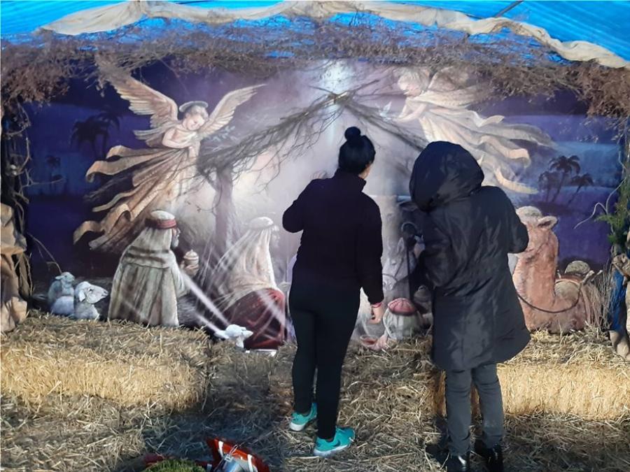 Σέρρες Χριστούγεννα: Φτιάχτηκε μία τρισδιάστατη φάτνη σε ελαιώνα στο Σιδηρόκαστρο