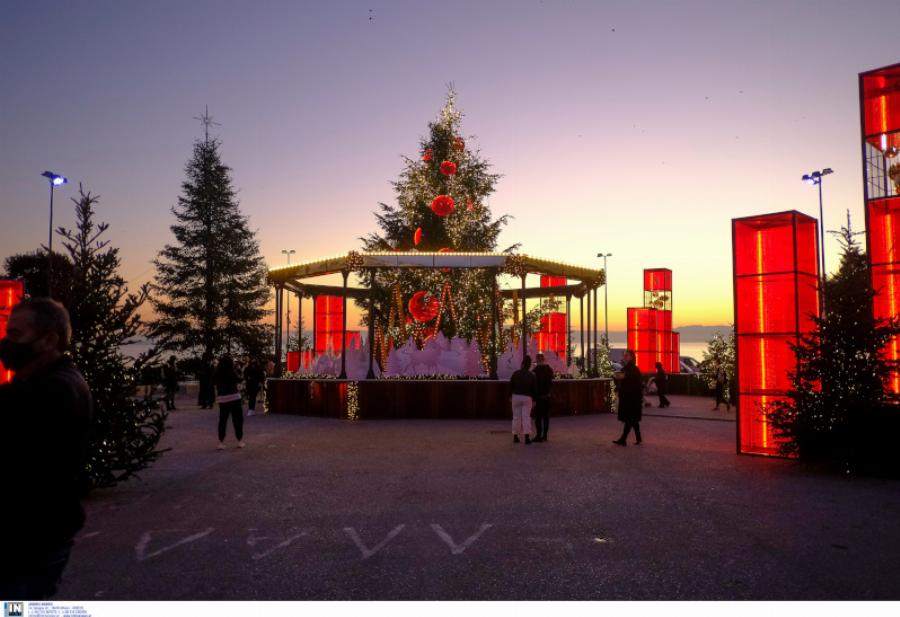 Πλατεία Αριστοτέλους: Φωταγωγήθηκε το χριστουγεννιάτικο δέντρο – Έχει 9.000 λαμπιόνια
