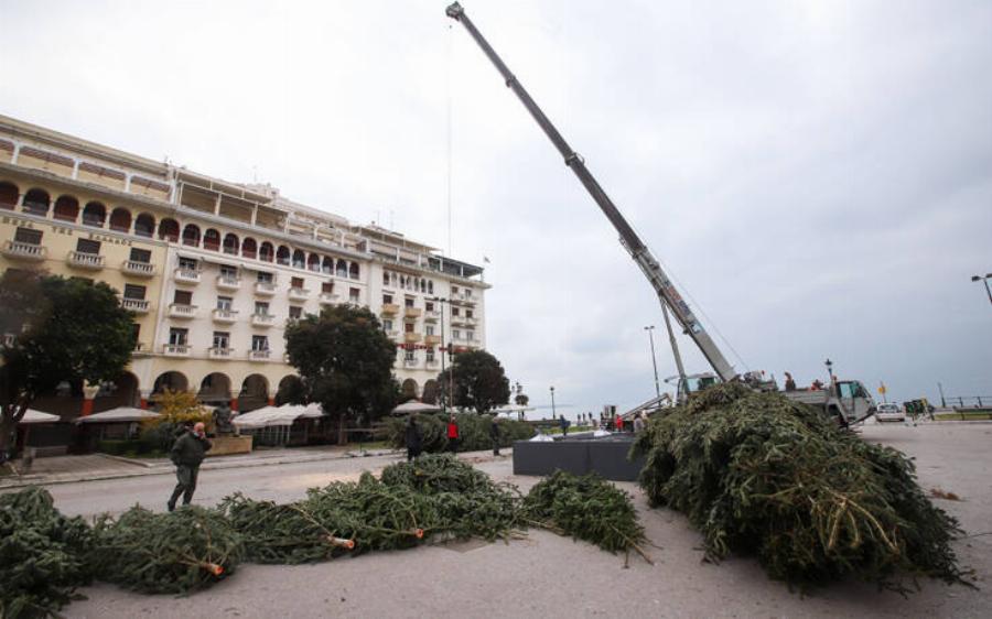 Πλατεία Αριστοτέλους: Ξεκίνησε ο χριστουγεννιάτικος στολισμός – Στήνεται δέντρο 18 μέτρων