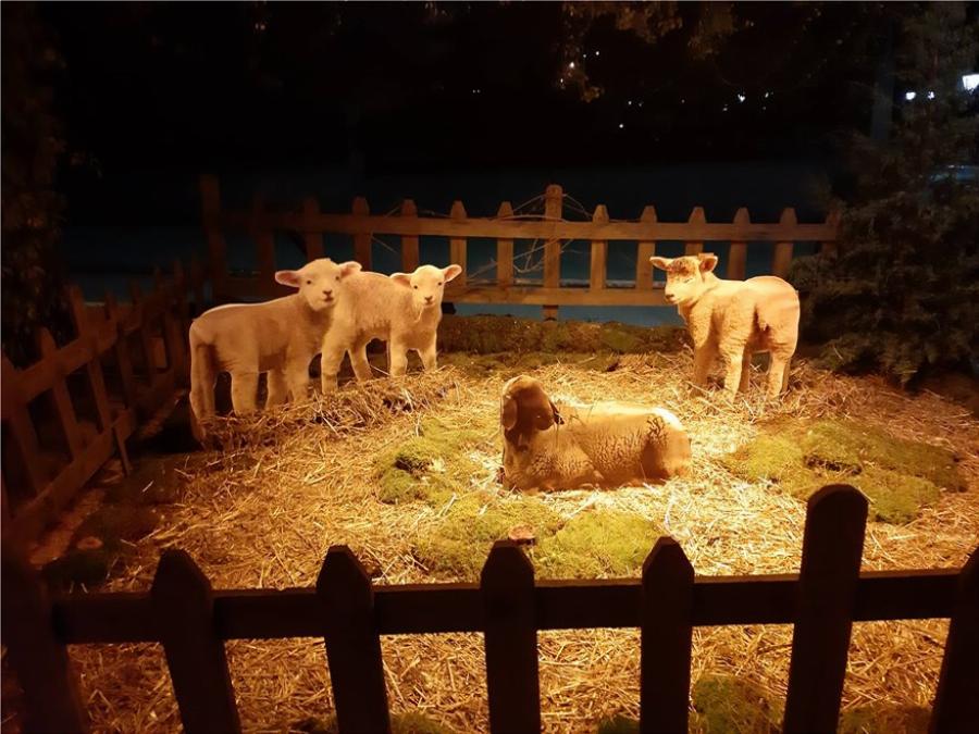 Σέρρες Χριστούγεννα: Φτιάχτηκε μία τρισδιάστατη φάτνη σε ελαιώνα στο Σιδηρόκαστρο