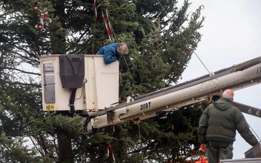 Πλατεία Αριστοτέλους: Ξεκίνησε ο χριστουγεννιάτικος στολισμός – Στήνεται δέντρο 18 μέτρων
