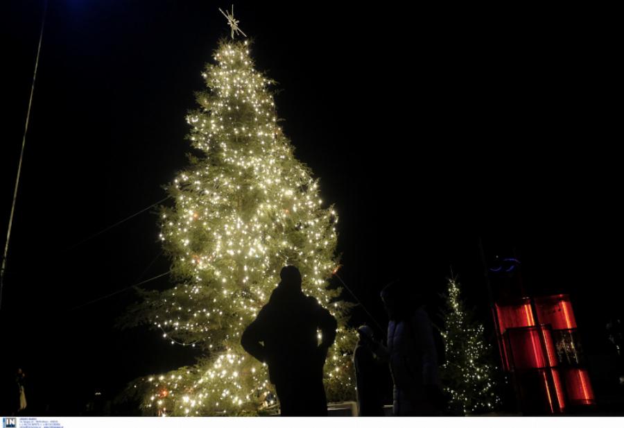 Πλατεία Αριστοτέλους: Φωταγωγήθηκε το χριστουγεννιάτικο δέντρο – Έχει 9.000 λαμπιόνια