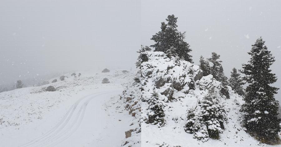 Παρνασσός χιόνια: Χιόνισε στον Παρνασσό και το τοπίο είναι ονειρικό – Δείτε τις εντυπωσιακές εικόνες