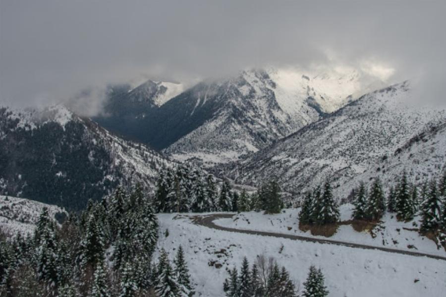Τρίκαλα: Πολλές περιοχές ντύθηκαν στα λευκά – Χιόνισε στα ορεινά και το τοπίο είναι εντυπωσιακό