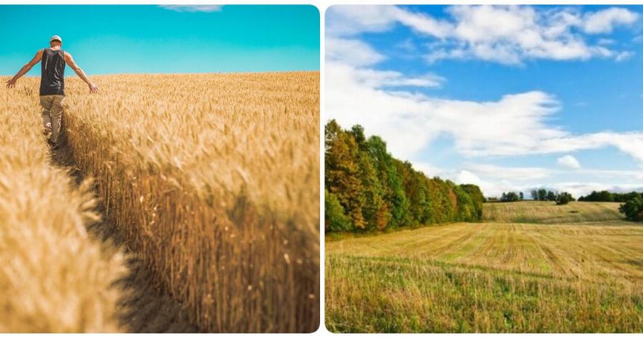 Έλληνας αγρότης: Κορυφαίος Ευρωπαίος νέος αγρότης αναδείχθηκε ένας Θεσσαλονικιός