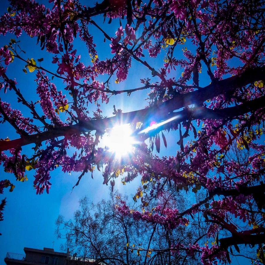 Πρόγνωση καιρού 16/12: Η κακοκαιρία υποχώρησε – Αίθριος ο καιρός στις περισσότερες περιοχές της χώρας