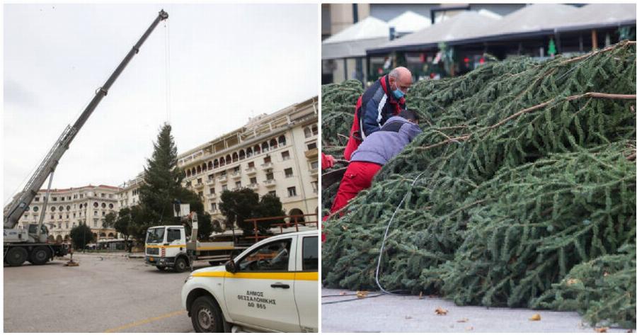 Πλατεία Αριστοτέλους: Ξεκίνησε ο χριστουγεννιάτικος στολισμός – Στήνεται δέντρο 18 μέτρων