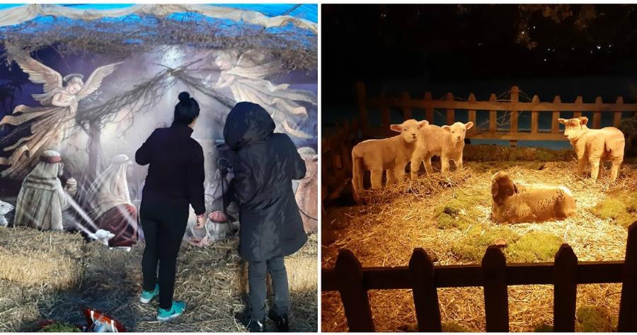 Σέρρες Χριστούγεννα: Φτιάχτηκε μία τρισδιάστατη φάτνη σε ελαιώνα στο Σιδηρόκαστρο