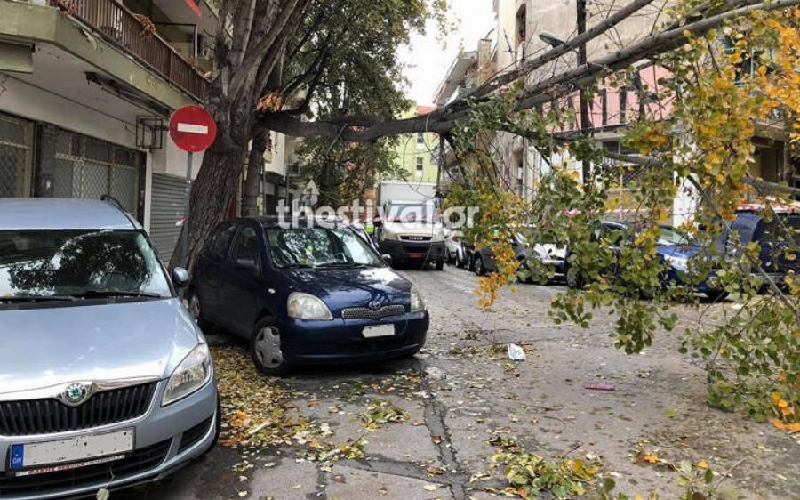 Χανιά: Μεγάλη η καταστροφή από την κακοκαιρία – Νερά και λάσπη στα ποιμνιοστάσια – Κινδύνευσε κτηνοτρόφος