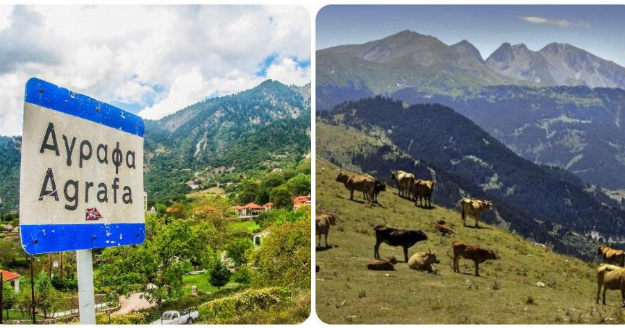 Άγραφα: Δωρεάν οικόπεδα σε νέα ζευγάρια που θα πάνε να μείνουν στην περιοχή