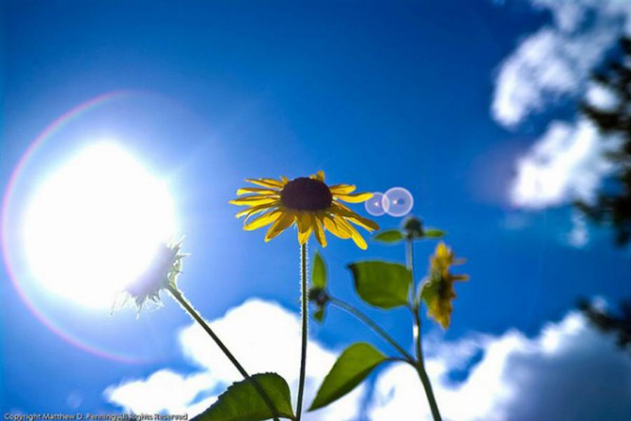 Καιρός το Σαββατοκύριακο: Νεφώσεις, αφρικανική σκόνη και υψηλές θερμοκρασίες για την εποχή