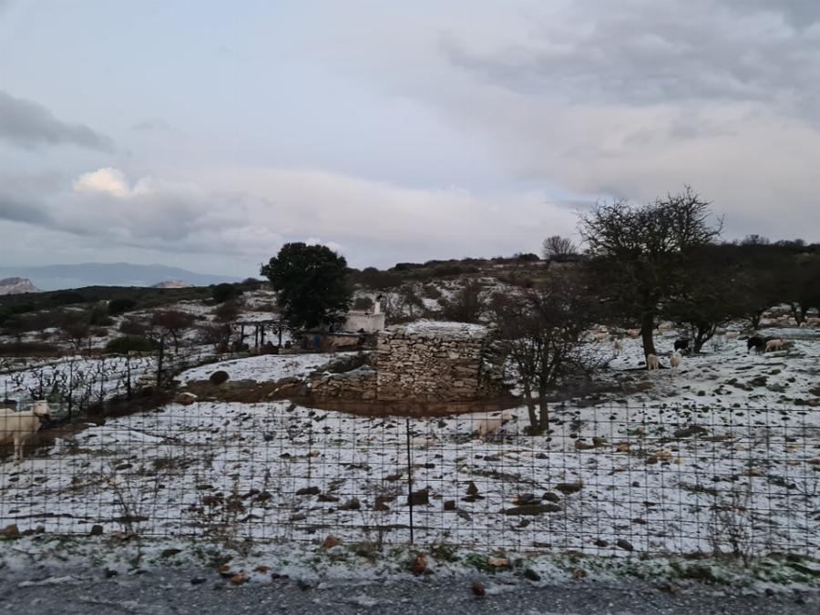 Χιόνια στην Ελλάδα: Έπεσαν τα πρώτα χιόνια σε Νάξο, Φλώρινα και Λάρισα – Δείτε φωτογραφίες