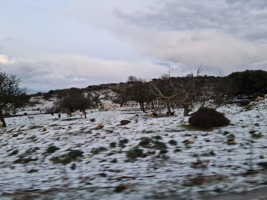 Χιόνια στην Ελλάδα: Έπεσαν τα πρώτα χιόνια σε Νάξο, Φλώρινα και Λάρισα – Δείτε φωτογραφίες