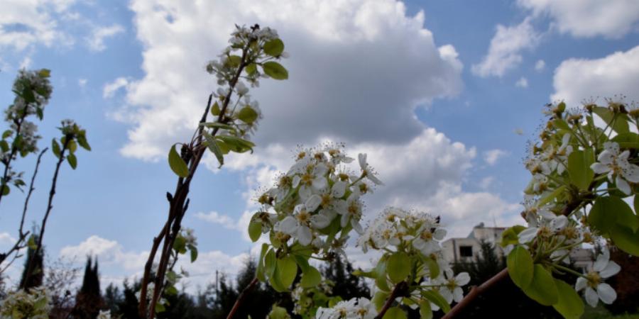 Πρόγνωση καιρού 13/1: Νεφώσεις και τοπικές βροχές στη χώρα – Χιόνια στα ορεινά – Δείτε αναλυτικά