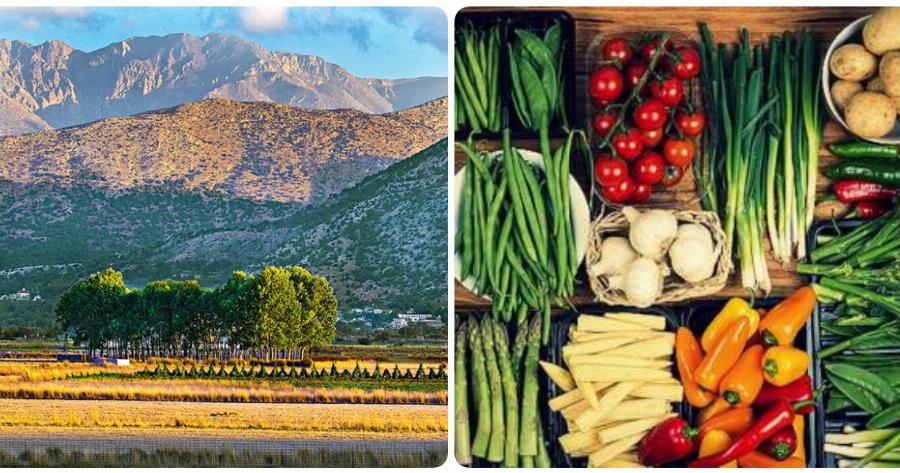 Οροπέδιο Λασιθίου: Αποκτά το πρώτο eshop για αγροτικά προϊόντα στην Ελλάδα