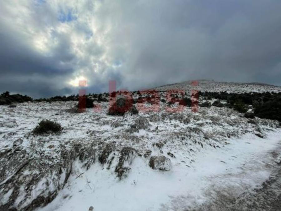 Πάρνηθα χιόνια: Στα λευκά ντύθηκε το βουνό από τη χιονόπτωση – Δείτε βίντεο και φωτογραφίες