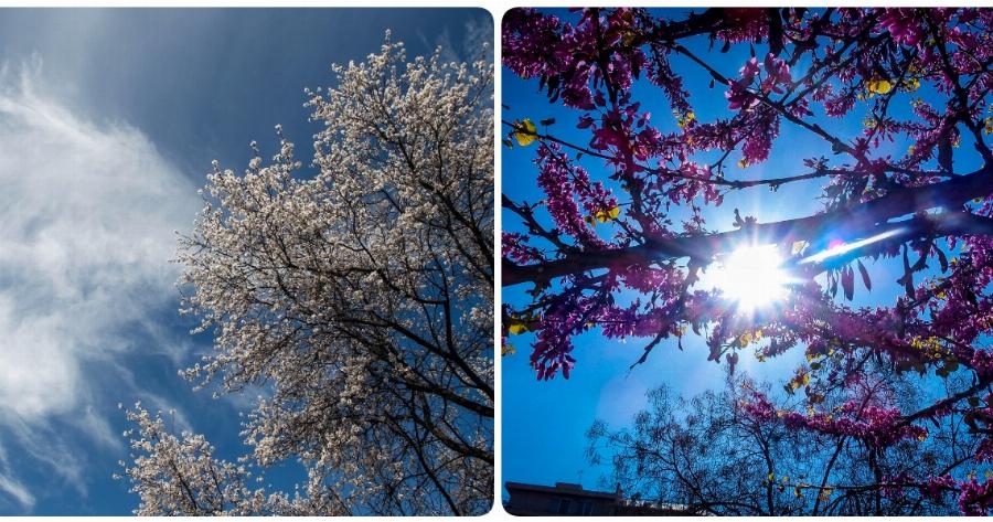 Πρόγνωση καιρού 20/1: Γενικά αίθριος ο καιρός στη χώρα – Χιονοπτώσεις στα ορεινά της Κρήτης – Δείτε τον καιρό