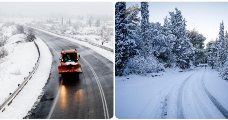 Στενή Ευβοίας: Η περιοχή ντυμένη στα λευκά από την πυκνή χιονόπτωση – Το τοπίο είναι μαγικό