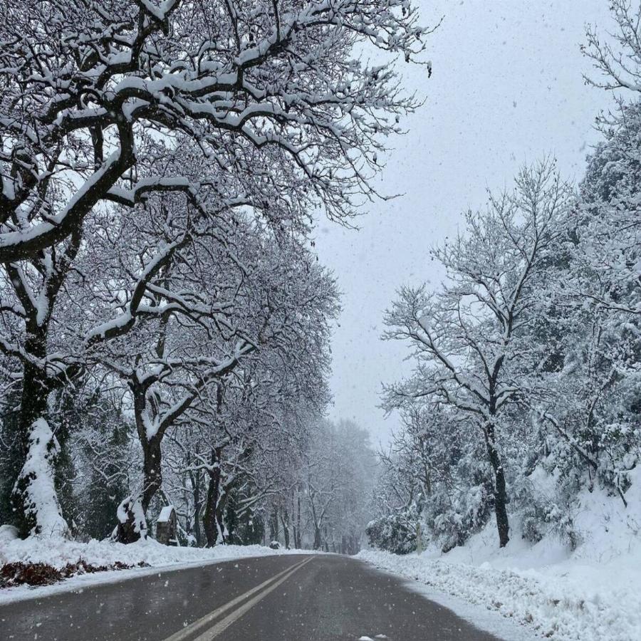 Στενή Ευβοίας: Η περιοχή ντυμένη στα λευκά από την πυκνή χιονόπτωση – Το τοπίο είναι μαγικό